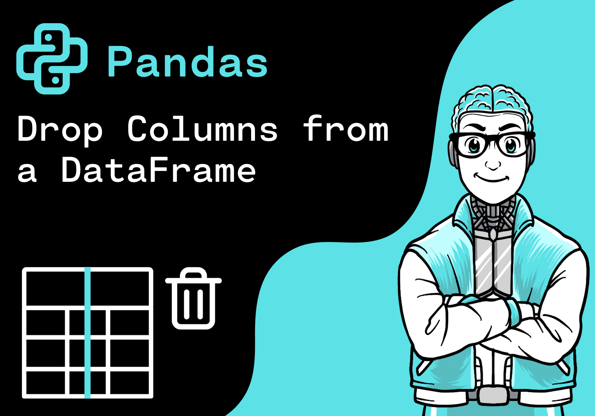 Pandas - Drop Columns from a DataFrame